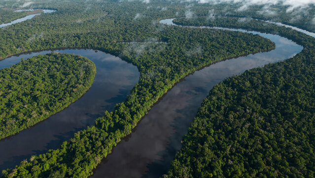 AMAZON RIVERS IN THE PERUVIAN JUNGLE, THEY CLEARLY SHOW THE MEANDERS, THE AMAZON AND THE NANAY ARE IMPORTANT TRIFLUENTS FOR CITIES IN THE PERUVIAN JUNGLE