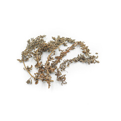 Pennyroyal isolated in a white backgound