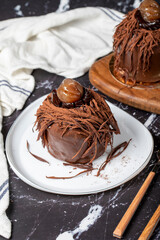 Chestnut cake. Chocolate, cream and chestnut cake on dark background