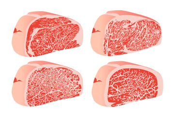 raw sirloin steak isolated on background.	