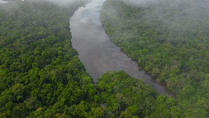 AMAZON RIVERS IN THE PERUVIAN JUNGLE, THEY CLEARLY SHOW THE MEANDERS, THE AMAZON AND THE NANAY ARE IMPORTANT TRIFLUENTS FOR CITIES IN THE PERUVIAN JUNGLE