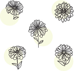 Set of  flowers line art illustrations. Hand drawn black ink style sketch.