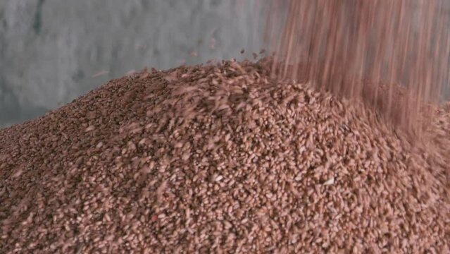 This stock video shows a large number of wheat grains that are poured into the granary and prepared for the sowing campaign. This video will decorate your projects related to grain crops, wheat harves
