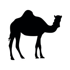 camel silhouette