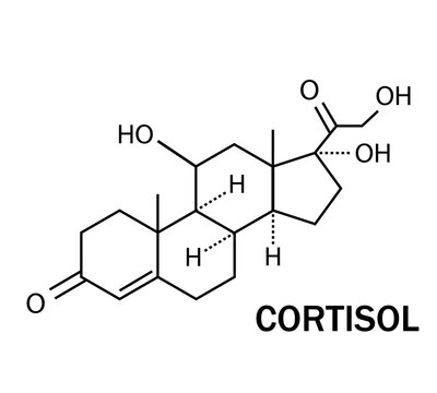 
Cortisol hormone icon. Chemical molecular structure of hydrocortisone on a transparent background. vector illustration.
