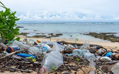 the plastic debris present in beach sediments at the remote islands of the Andaman