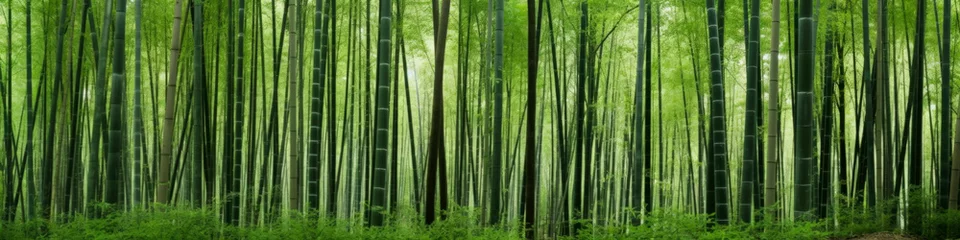 Crédence de cuisine en verre imprimé Couleur pistache Arashiyama Bamboo Grove Kyoto Japan - Generative AI