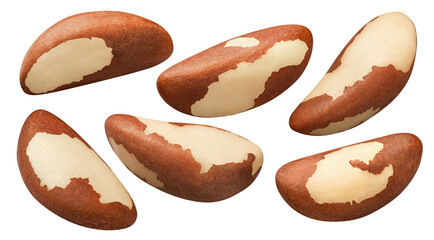 Brazil nuts set isolated on white background