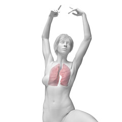 3D Rendered Medical Illustration of Female Anatomy - the lungs. © Sebastian Kaulitzki