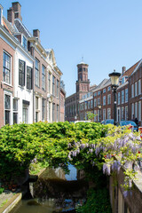 Fototapeta na wymiar Netherlands, 2023. a typical Dutch street canal in the Netherlands on a sunny summer day during the flowering period of plants.