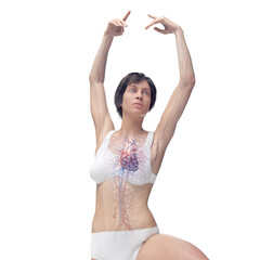 3D Rendered Medical Illustration of Female Anatomy - Cardiovascular System © Sebastian Kaulitzki