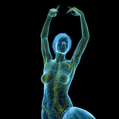 3D Rendered Medical Illustration of Female Anatomy - The Lymphatic System © Sebastian Kaulitzki