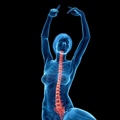 3d medical illustration of the spine © Sebastian Kaulitzki