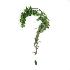 Question mark made of herbs in a white background