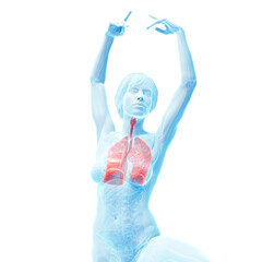 3D Rendered Medical Illustration of Female Anatomy - the lungs. © Sebastian Kaulitzki