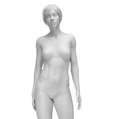 Fototapeta premium 3d medical illustration of the female body
