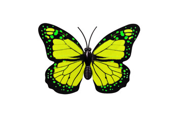 Obraz na płótnie Canvas Yellow butterfly isolated on transparent background top view. Yellow butterfly with green spots as an element for design.