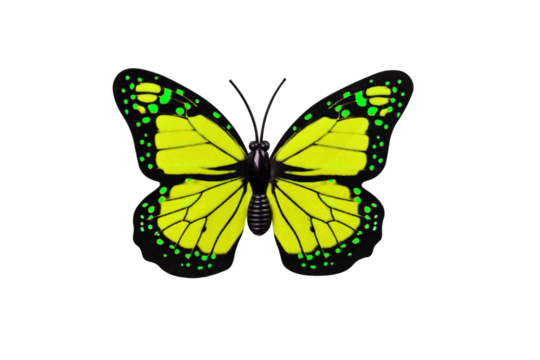 Yellow butterfly isolated on transparent background top view. Yellow butterfly with green spots as an element for design.