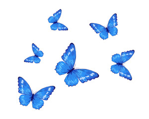 set of butterflies