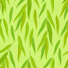 Green leaves of willow seamless pattern. Vector botanical background. Greenery cartoon illustration.