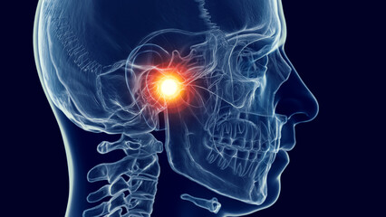 3d medical illustration of a man's skull and cervical spine. jaw pain - 603013053