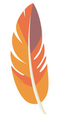 feather in orange and brown