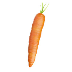 orange vegetable carrot 3d vector is ingredient  for cooking