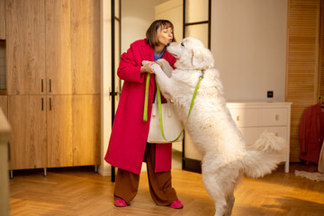 Woman plays with her huge white dog before going out with her for a walk. happy leisure time with pets concept