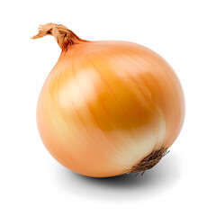  Fresh onion bulb isolated on transparent white background - obrazy, fototapety, plakaty