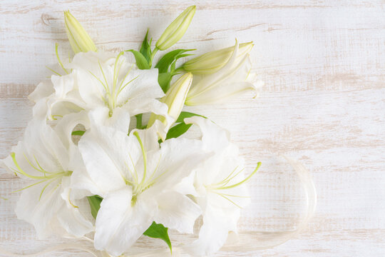 カサブランカ Images – Browse 1,539 Stock Photos, Vectors, and