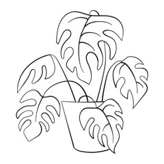 Monstera line art style. Monstera leaf line art. Contour drawing. Monstera house plant leaf sketch by hand drawing.