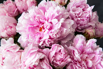 Background with beautiful flowers peonies