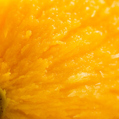 Mango close-up macro. Premium mango
Fruit mango without skin close-up for fruit salad.