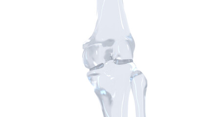 3d medical illustration of a man's knee