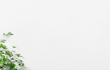 Minimalistic light background with blurred foliage shadow on a white wall. Beautiful background for presentation with with smooth floor, generative ai