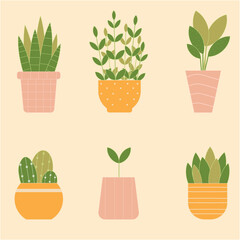 Fototapeta na wymiar Set of cute houseplants in pots