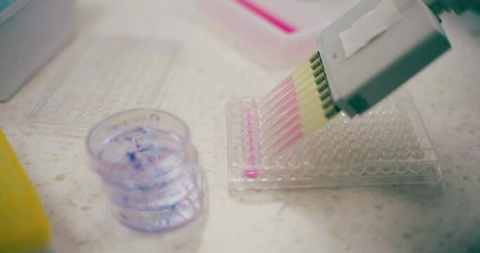 Scientist Working in Medical Laboratory Cancer Research Covic 19 Pandemic