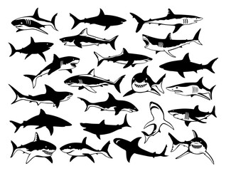 Shark SVG bundle, Shark silhouette, Shark icon, Sharks SVG, Shark face SVG