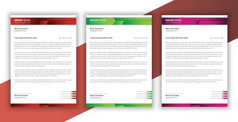 Professional and modern letterhead vector layout 