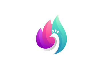 Peacock creative logo concept with colorful gradient