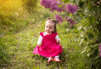 Naklejka na ściany i meble Cute 1 year old baby girl in a pink dress playing on a green sunny lawn at sunset in a park with flowering bushes, spending time outdoors in the park