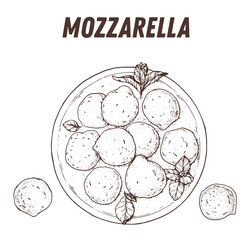 Plate of mozzarella cheese sketch. Vector illustration. Hand drawn. Top view.