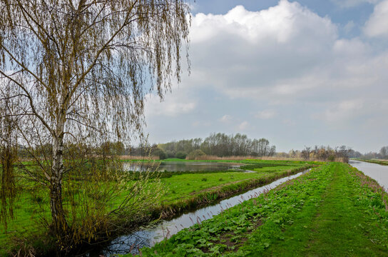 Green polderlandscape near Breukelen, The Netherlands, with a footpath between a canal and a ditch, trees, meadows and a small lake