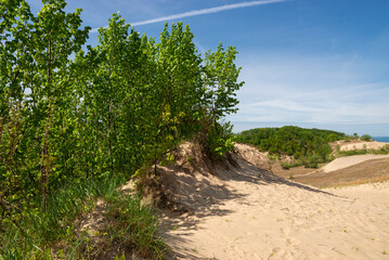 Fototapeta premium Landscape at Warren Dunes.