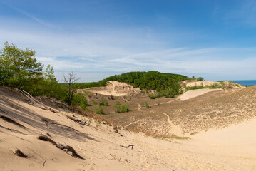 Landscape at Warren Dunes.