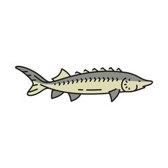 Fishing industry sturgeon fish outline icon. Seafood gourmet meal, restaurant fish meat or caviar menu pictogram, food market outline vector sign. Fishing industry delicacy or catch thin line icon