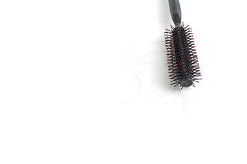 Hair loss and comb, hair loss every day, serious problems and hair loss on a white background.