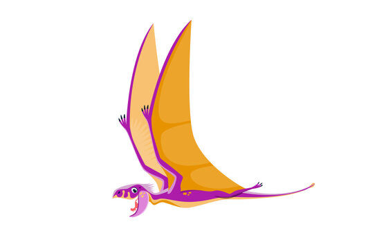 Cartoon Dimorphodon dinosaur character or Jurassic pterosaur, vector funny dino bird. Flying dino dragon or Dimorphodon dinosaur for kids paleontology or cartoon toy game character