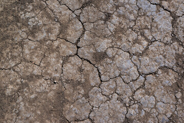 Top view of dry earth soil texture as backdrop