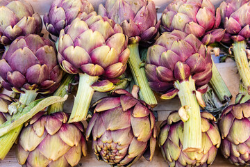 Fresh artichokes on farmer`s market, Provence, France 